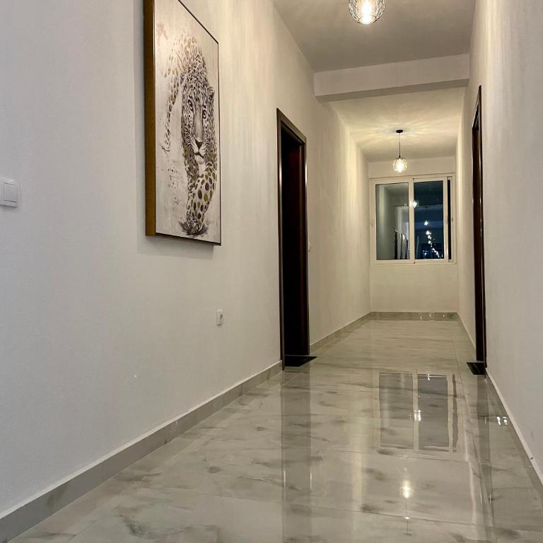 Bora Lindi Ulcinj apartments - One-Bedroom Apartment - 2