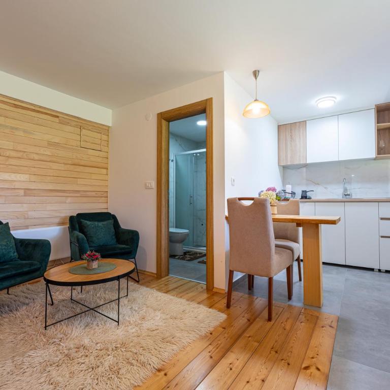 Apartments CENTER OF THE WORLD - Studio with Mountain View - 12