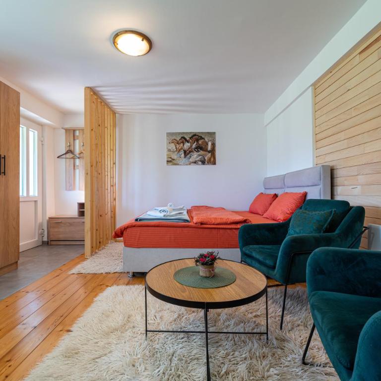 Apartments CENTER OF THE WORLD - Studio with Mountain View - 5