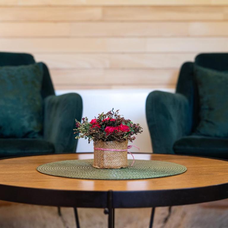 Apartments CENTER OF THE WORLD - Studio with Mountain View - 17