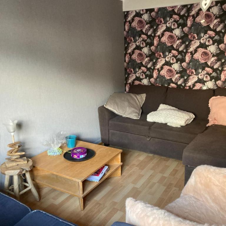 La Bresse, 50 m du centre ville, appartement 4-6 personnes - Two-Bedroom Apartment - 17