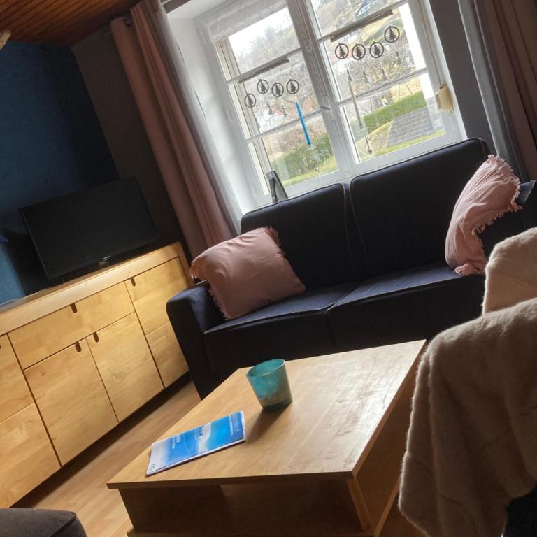 La Bresse, 50 m du centre ville, appartement 4-6 personnes - Two-Bedroom Apartment - 23