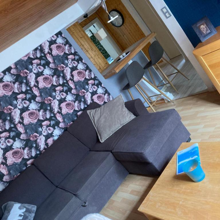 La Bresse, 50 m du centre ville, appartement 4-6 personnes - Two-Bedroom Apartment - 24