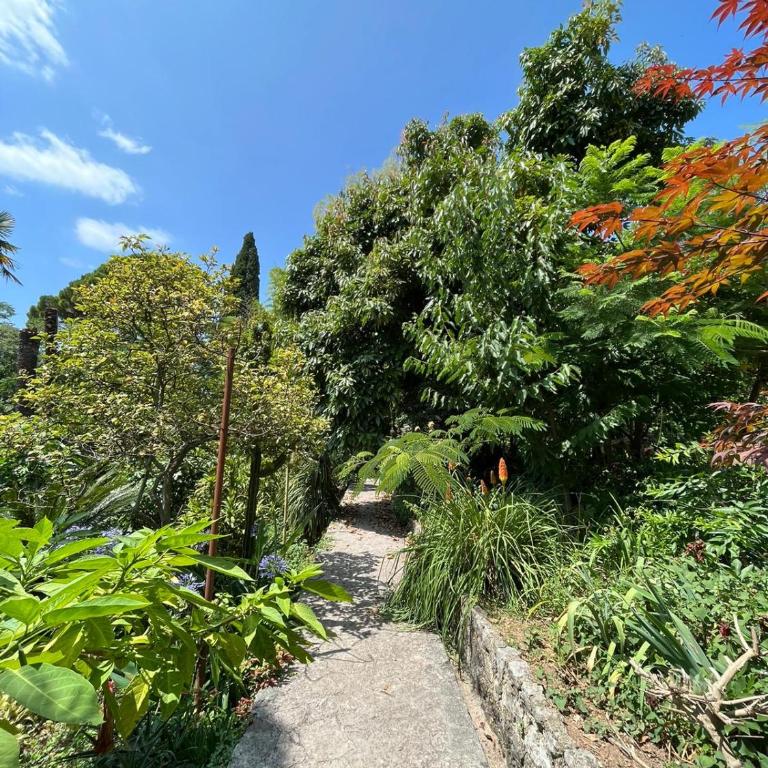 Bamboo apartment 1 Herceg Novi - Apartman sa 2 Spavaće Sobe - 5