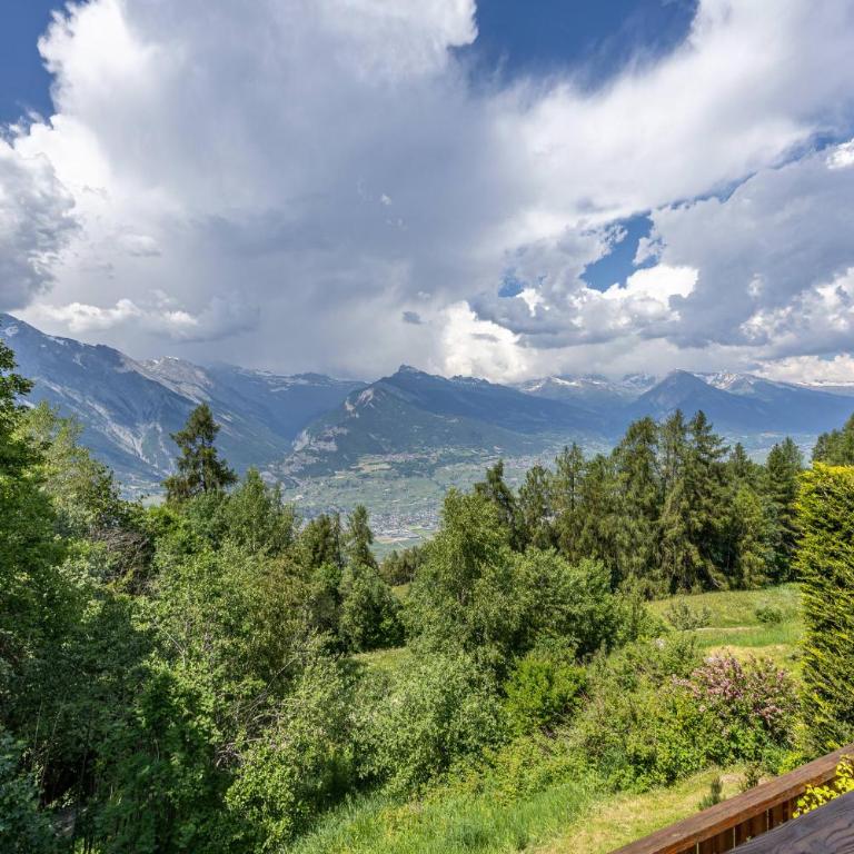 Chalet La Vue, pet friendly 10 pers, amazing view - Chalet Superior - 10