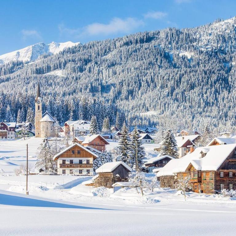 Almsternderl 2.0 - gemütliches Appartment in Gosau - Apartment mit 1 Schlafzimmer - 2