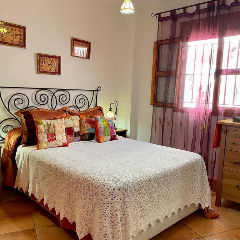 Apartamento Rubire - Apartamento - 12