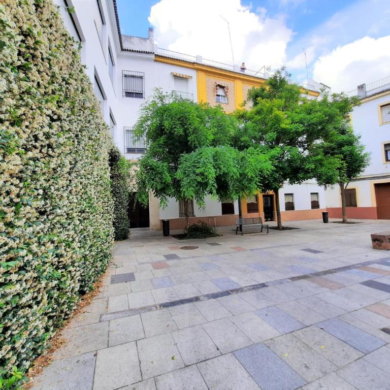 San Pedro Parking Gratis Coche Mediano - Apartamento de 2 dormitorios - 15
