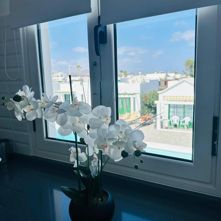 Casa Adelfa - One-Bedroom Apartment - 18