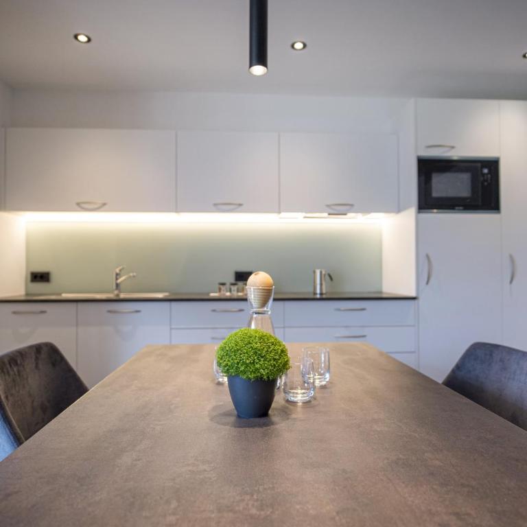 Apartments Chalet Silva - Appartamento Standard - 20