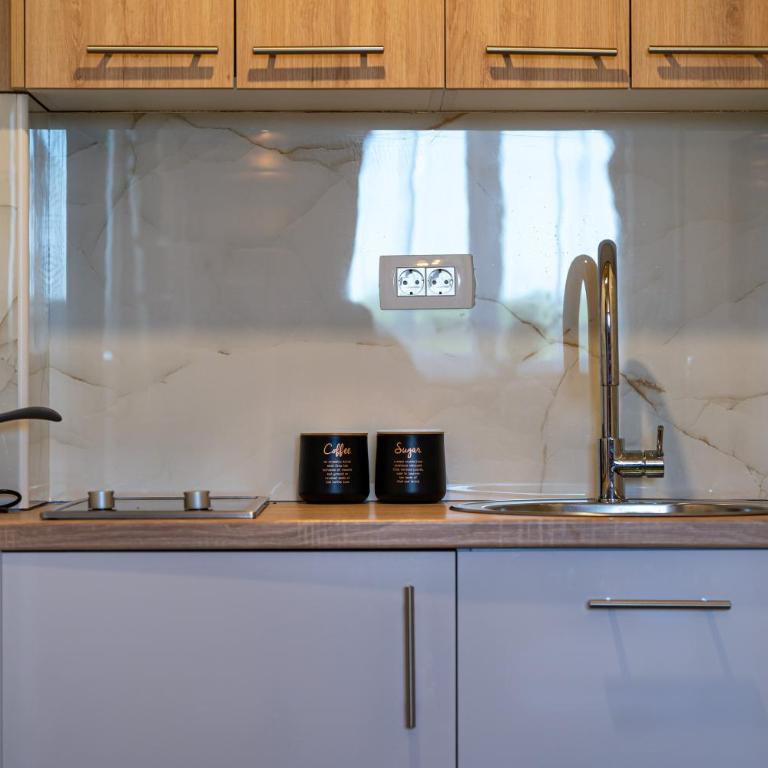 Apartments CENTER OF THE WORLD - One-Bedroom Apartment - 20