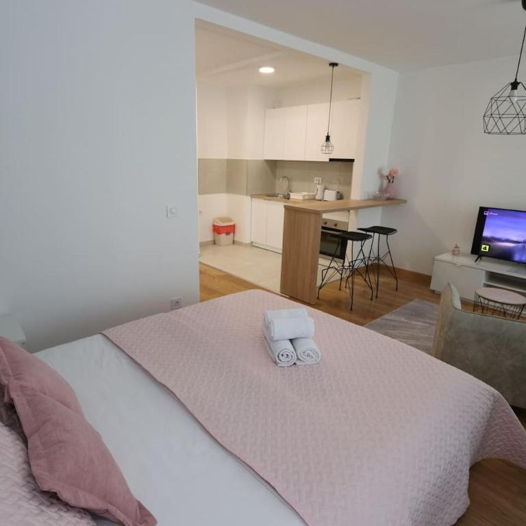 Savada PINK - studio with parking and WiFi, parking 5 eur per day - Studio sa Balkonom - 5