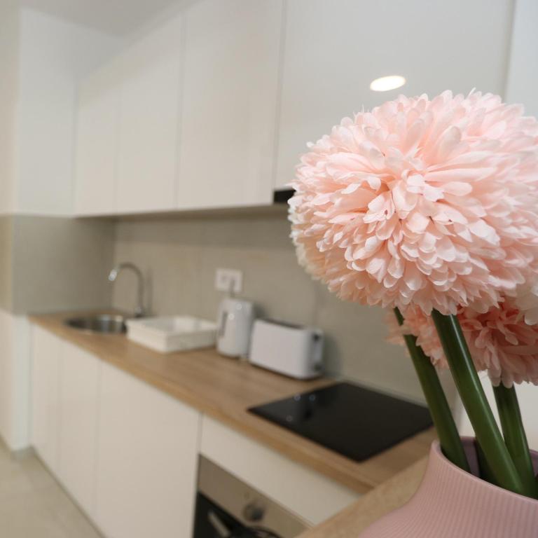 Savada PINK - studio with parking and WiFi, parking 5 eur per day - Studio sa Balkonom - 6