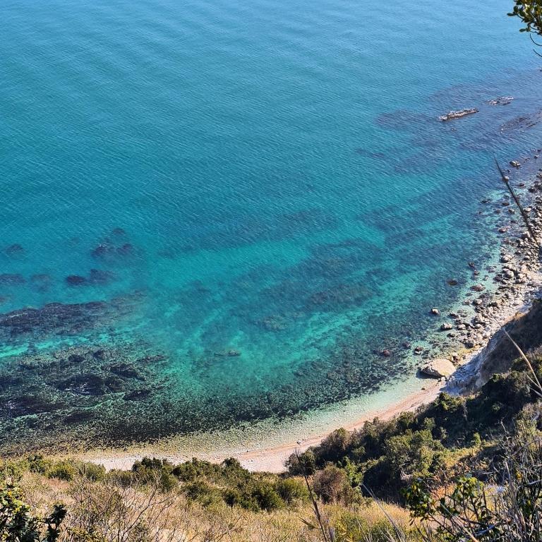 La Pinetina - Appartamento con 2 Camere da Letto - 19
