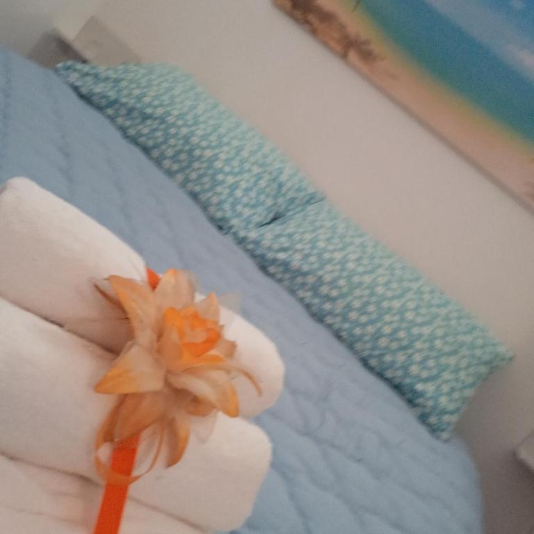 Jho House apartment - Casa Vacanze - 4