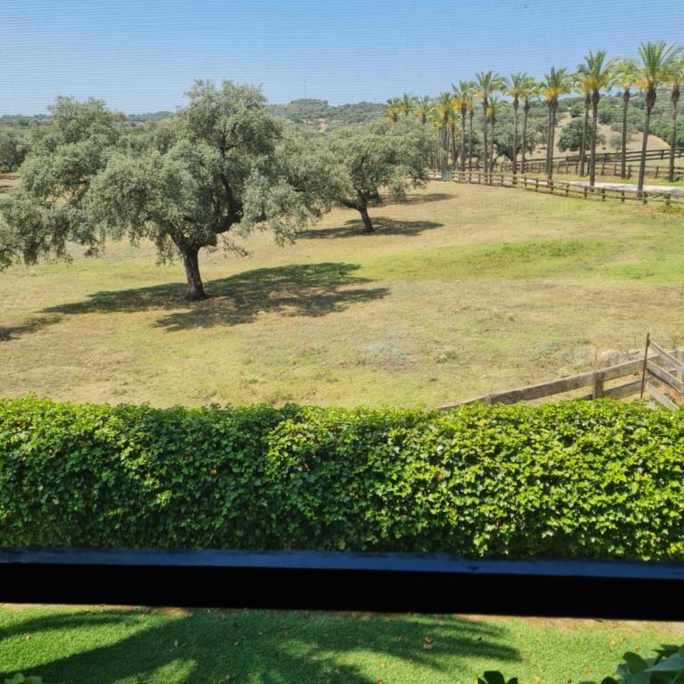 Alojamiento Rural Finca Barral - Suite Deluxe - 32