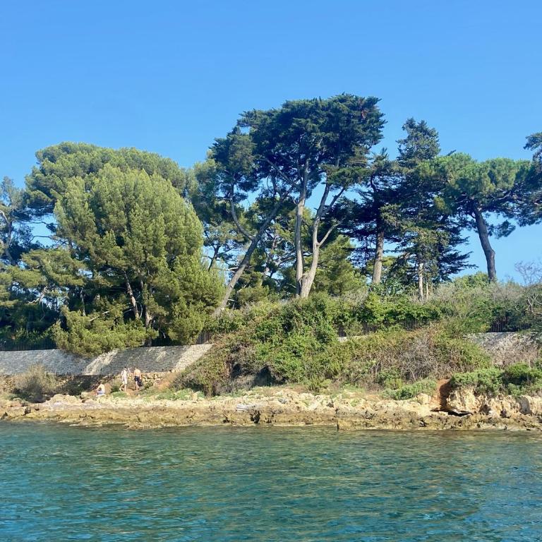 Très bel appartement sur la plage avec grande terrace face à la mer! La Goelette - Apartamento de 1 dormitorio - 28