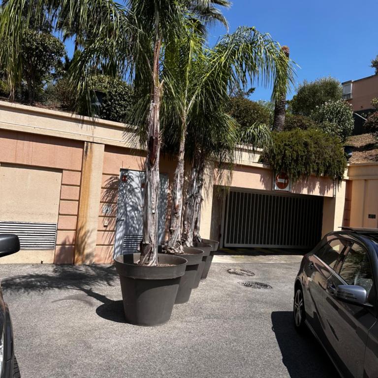 CANNES VILLA FRANCIA - Appartement 2 Chambres - 25