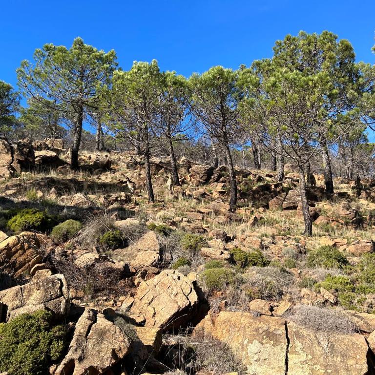 central bright apartment, community pool and own private pool on splendid terrace, garage, beach 900m, mountains 200m - Apartamento de 2 dormitorios - 45