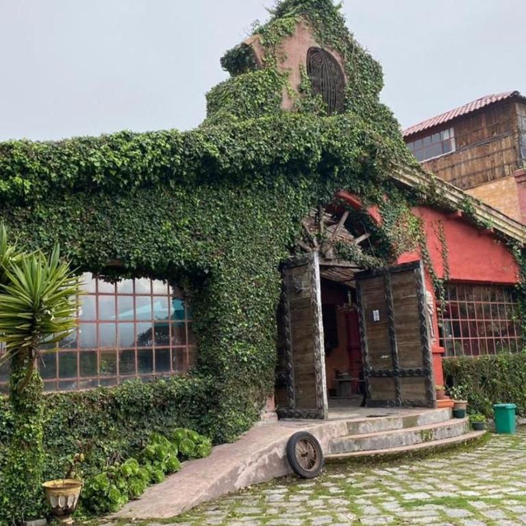La Antigua Hotel de Montaña - Habitación con cama extragrande y vistas al jardín - 4
