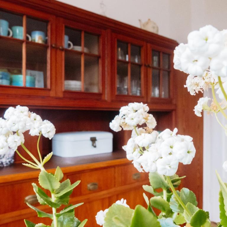 Schönste Location in Würzburg - Apartment mit 2 Schlafzimmern - 40