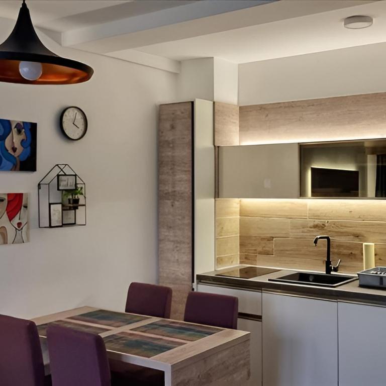 Kopaonik Heights N97 Spa and Wellnes - Apartman sa 1 Spavaćom Sobom - 4