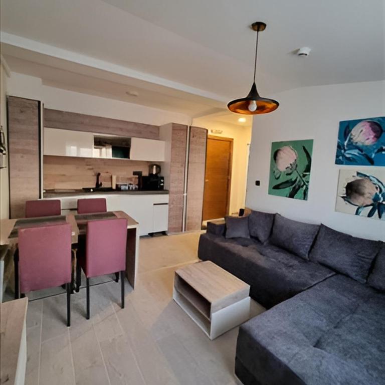 Kopaonik Heights N97 Spa and Wellnes - Apartman sa 1 Spavaćom Sobom - 8