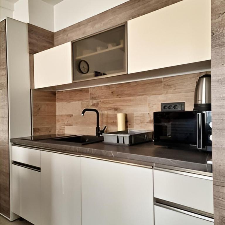 Kopaonik Heights N97 Spa and Wellnes - Apartman sa 1 Spavaćom Sobom - 9