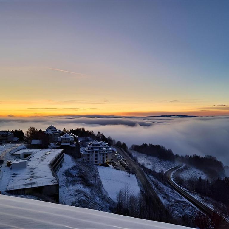 Kopaonik Heights N97 Spa and Wellnes - Apartman sa 1 Spavaćom Sobom - 12