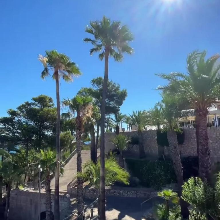 Apartamento Peñíscola Marilen Primera linea - Apartamento de 2 dormitorios - 24