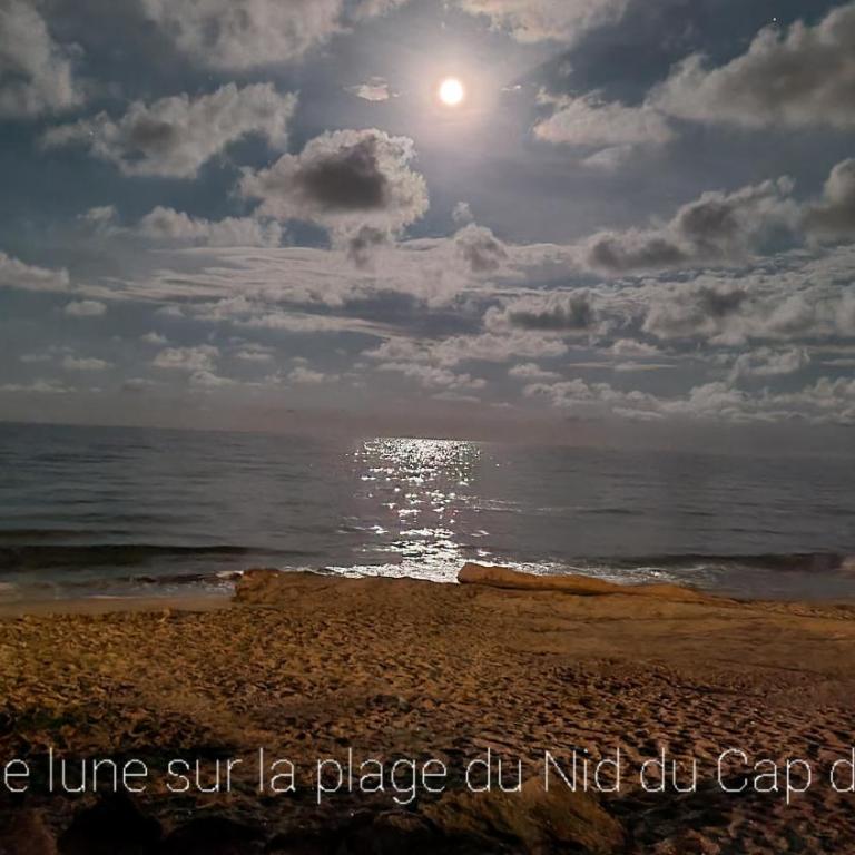 Résidence de standing la Pêcherie Spacieux T3 comme un cocon familial vue mer et sur l'avant port Sur le bout du bout de Cap d'Agde seule cap en Occitanie - Apartment with Sea View - 19