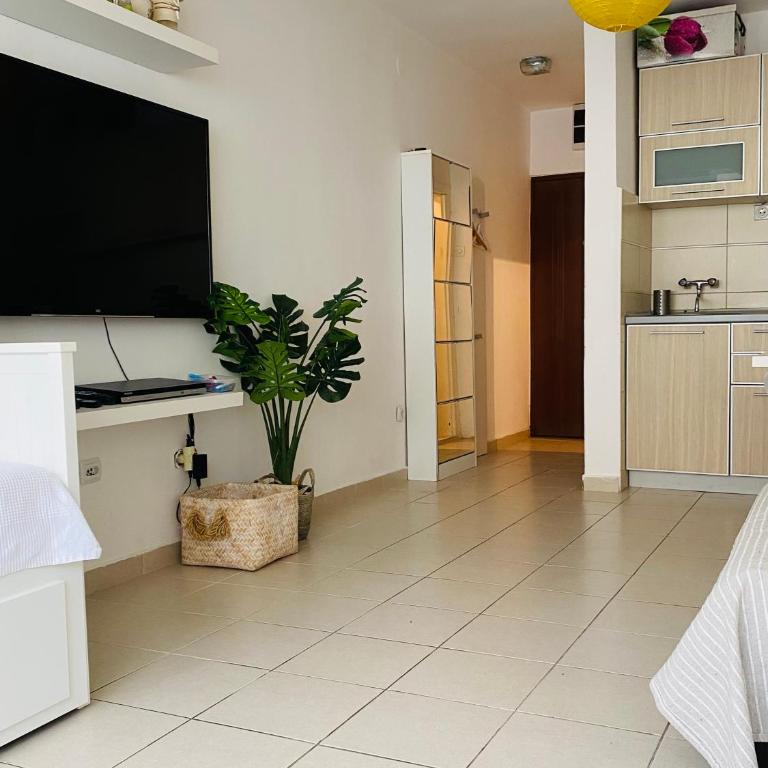 Studio apartment Dobrota - Apartman sa 1 Spavaćom Sobom - 3