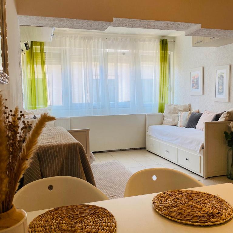 Studio apartment Dobrota - Apartman sa 1 Spavaćom Sobom - 4