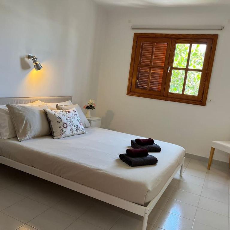 VILLA ANNA With heated pool - Villa - 23