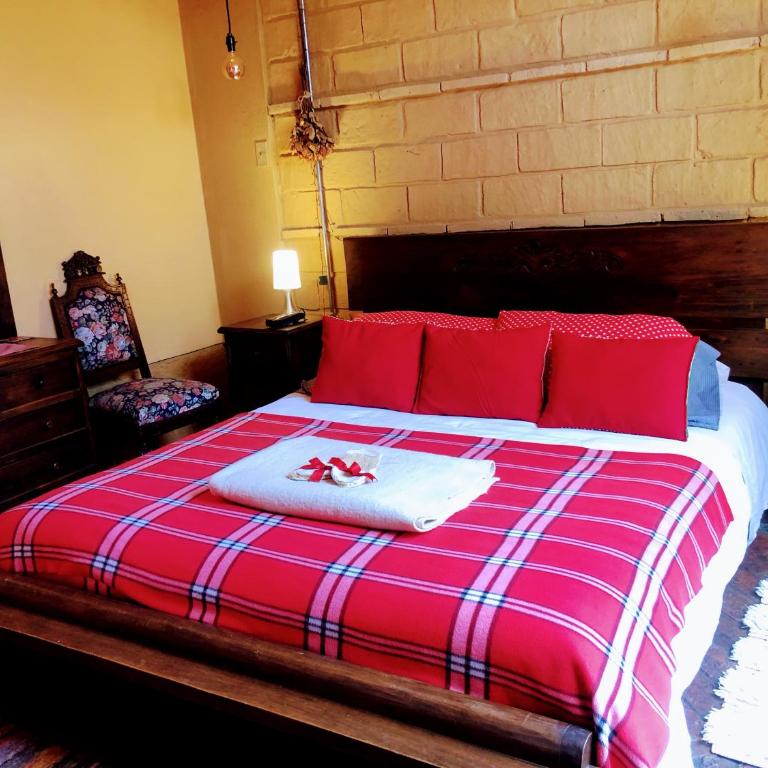 Mi Casa es tu Casa Inn - Double Room with Terrace - 9