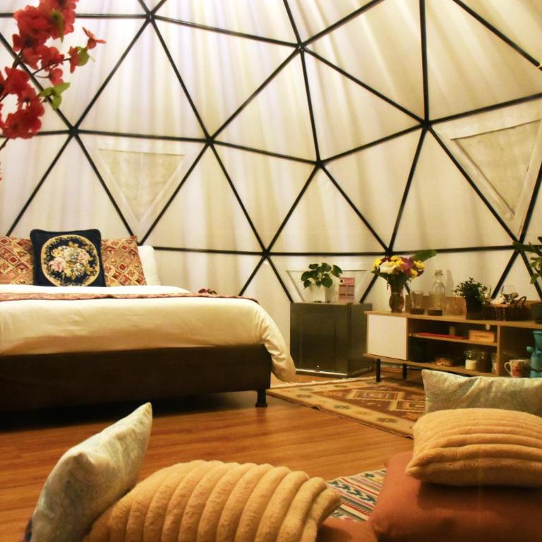 Glamping Claro de Luna - Tienda - 6