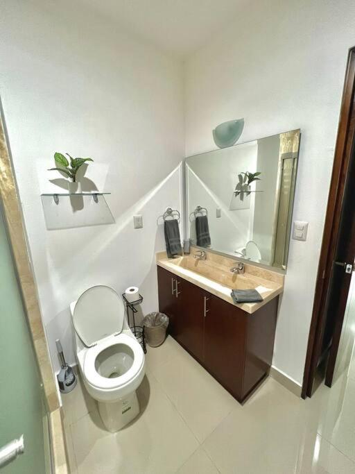 The One D12 Sobre el Malecón Vista al Estadio de Baseball - Two-Bedroom Apartment - 13
