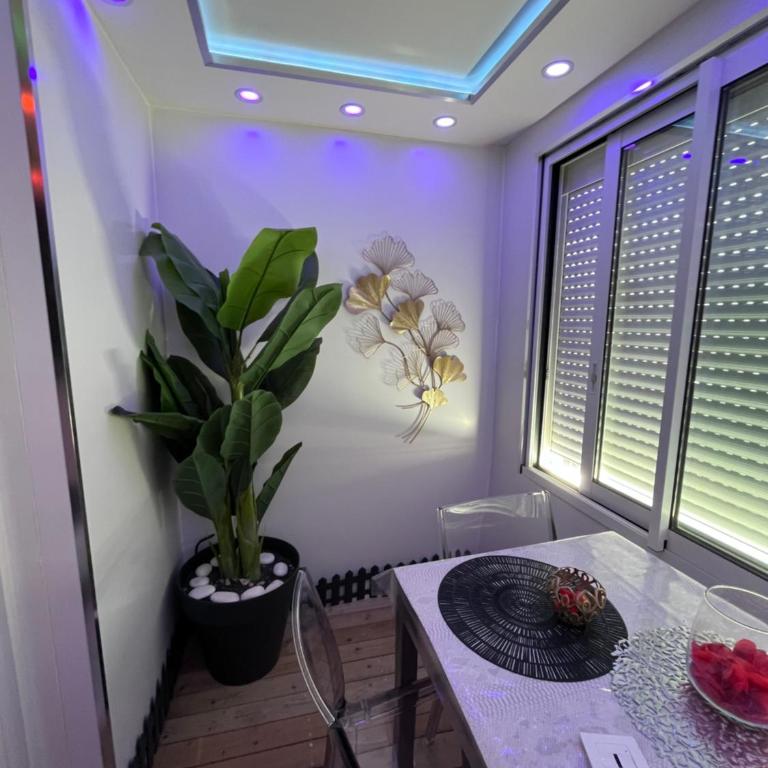C12 Deluxe - Apartamento Deluxe - 50