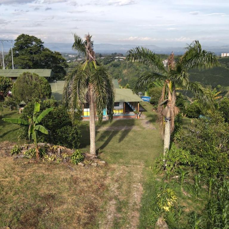 Happy Glamping Quindio - Tipo Domo Traslúcido - Habitación Doble Deluxe con bañera - 6