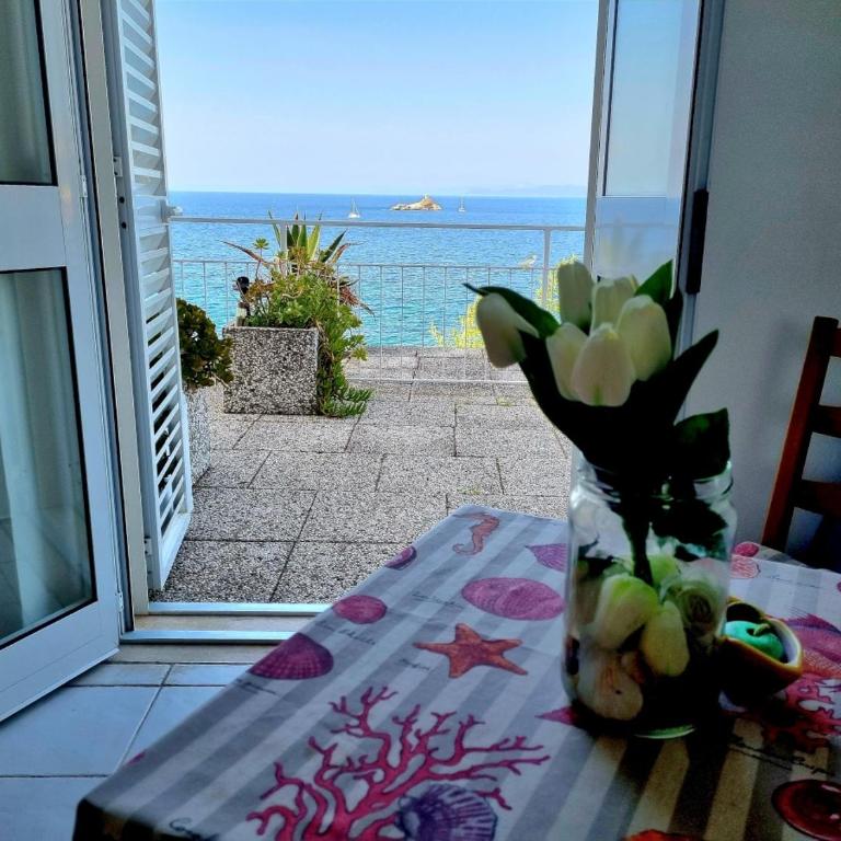 Appartamenti La Terrazza sulle Ghiaie - Goelba - Appartamento con 1 Camera da Letto - 5