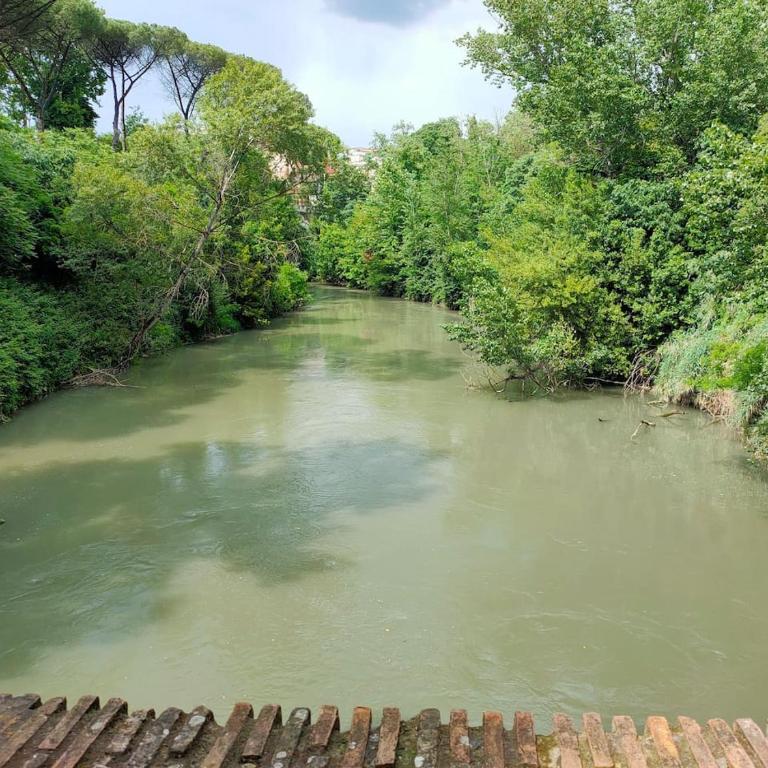 THERESA APARTMENT - Appartamento con 3 Camere da Letto - 24