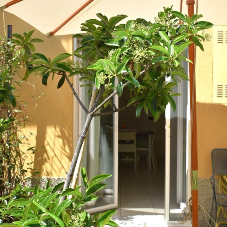 bilocale Rachele - Appartamento con 1 Camera da Letto - 19