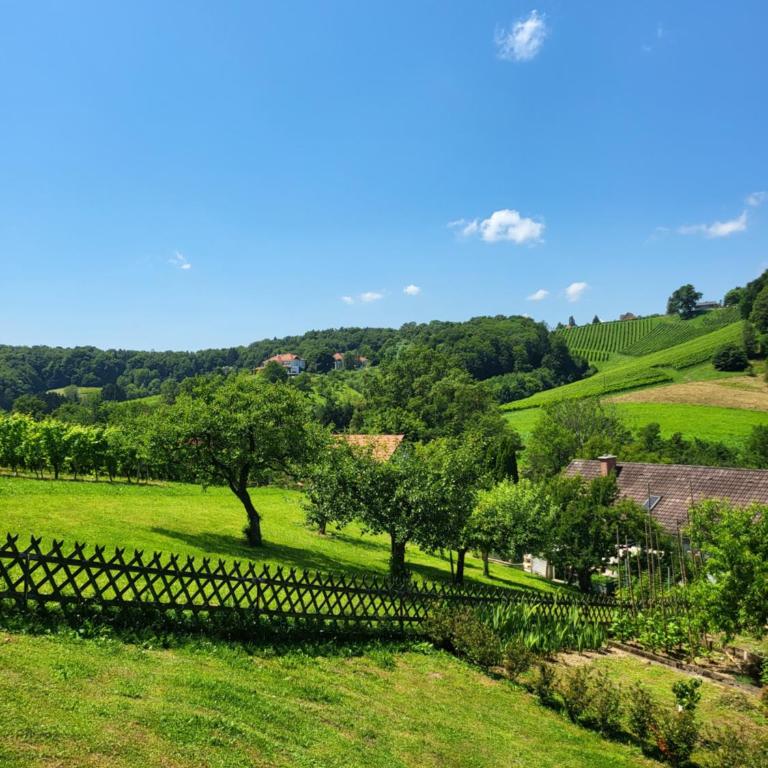 Ferienhaus Zangl am Seggauberg - Südsteiermark - Haus mit 1 Schlafzimmer - 20