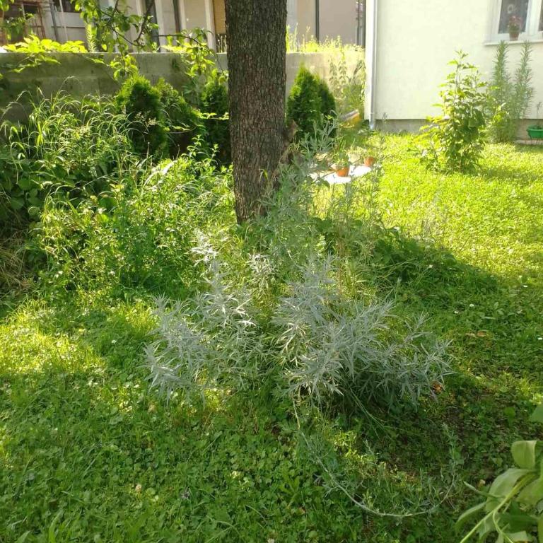 Apartman SLADJANA Vrnjacka Banja - Superior Apartman sa 1 Spavaćom Sobom - 15