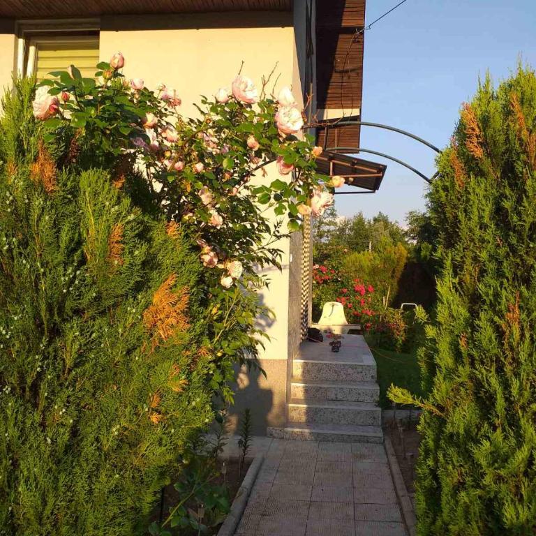 Vikendica M&M / Vacation home M&M - Vikendica - 7