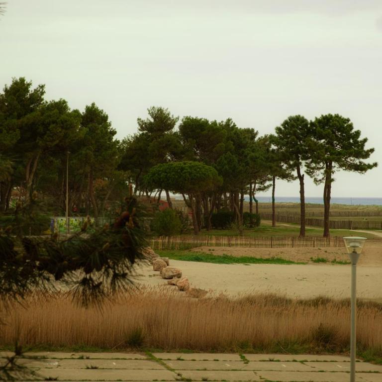 Magnifique appartement de type loft en front de mer avec vue, parking et WiFi - Appartement 1 Chambre - 20