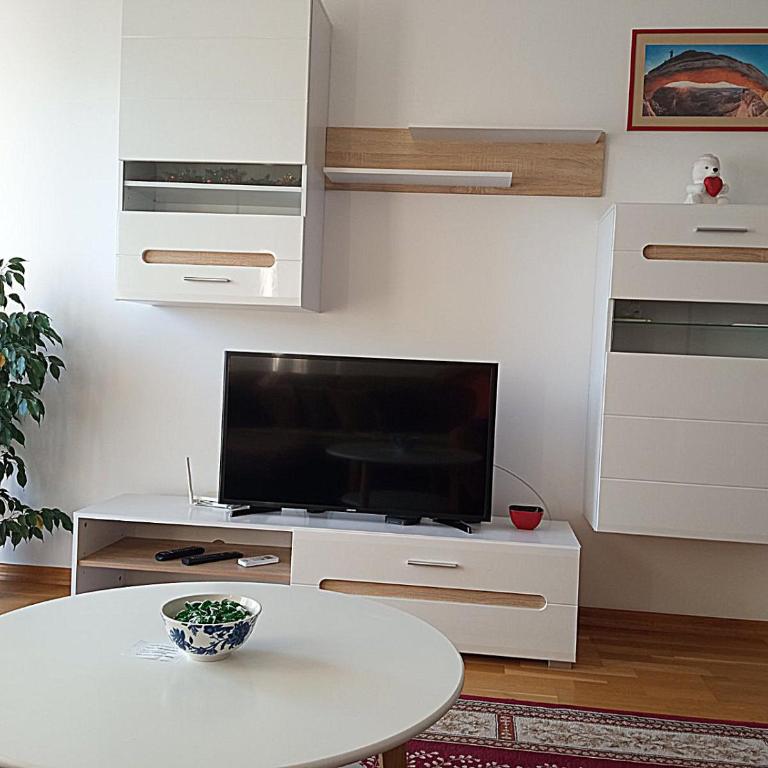 AGA Apartman Podgorica - Apartman sa 1 Spavaćom Sobom - 22