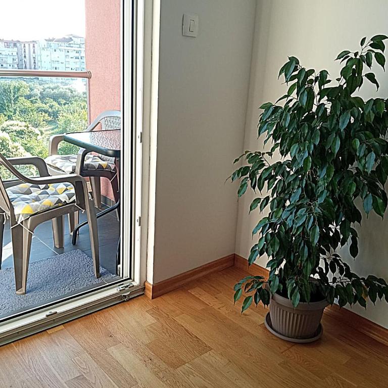 AGA Apartman Podgorica - Apartman sa 1 Spavaćom Sobom - 19