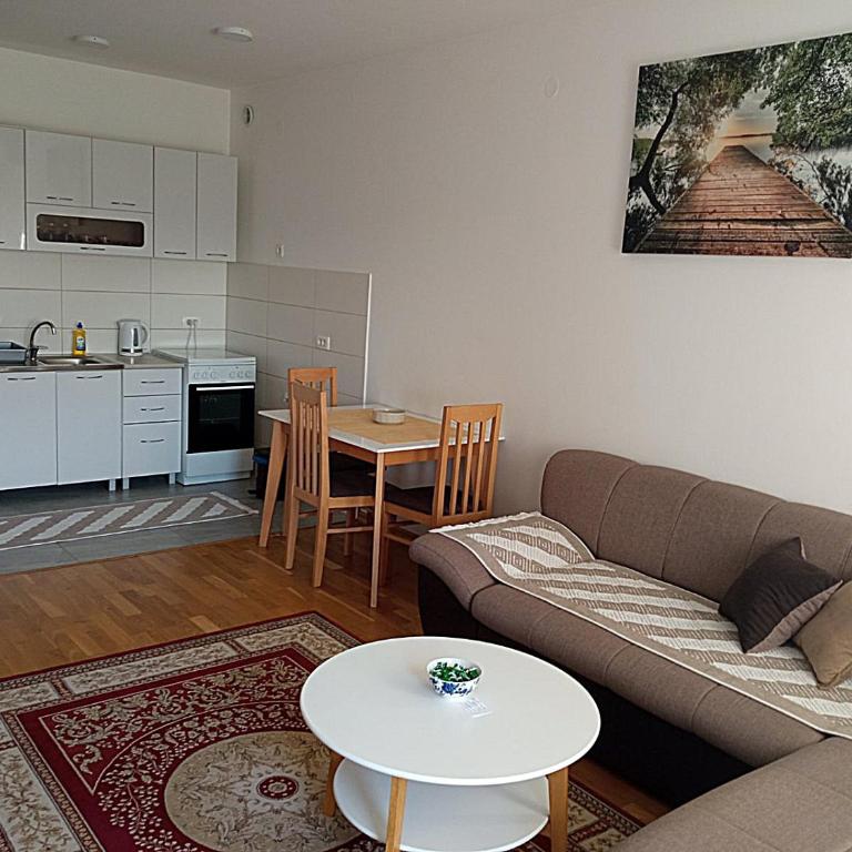 AGA Apartman Podgorica - Apartman sa 1 Spavaćom Sobom - 18