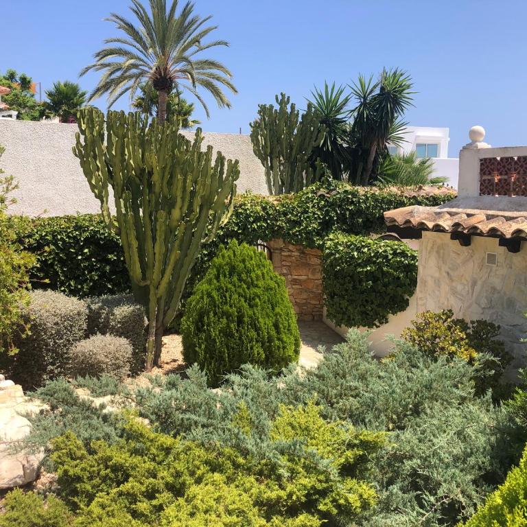 Bonito apartamento villa Joya - Apartamento de 1 dormitorio - 4